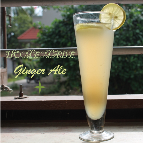 Homemade Fresh Ginger Ale Recipe