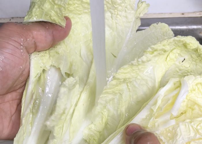 wash napa cabbage