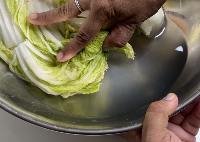 brined cabbage