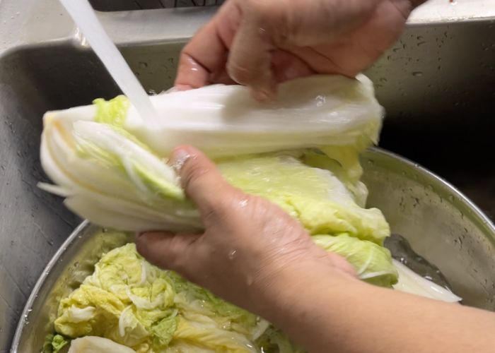 wash napa cabbage well