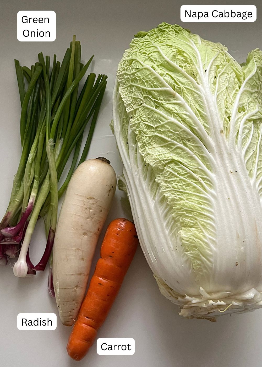 vegetables you can use in kimchi