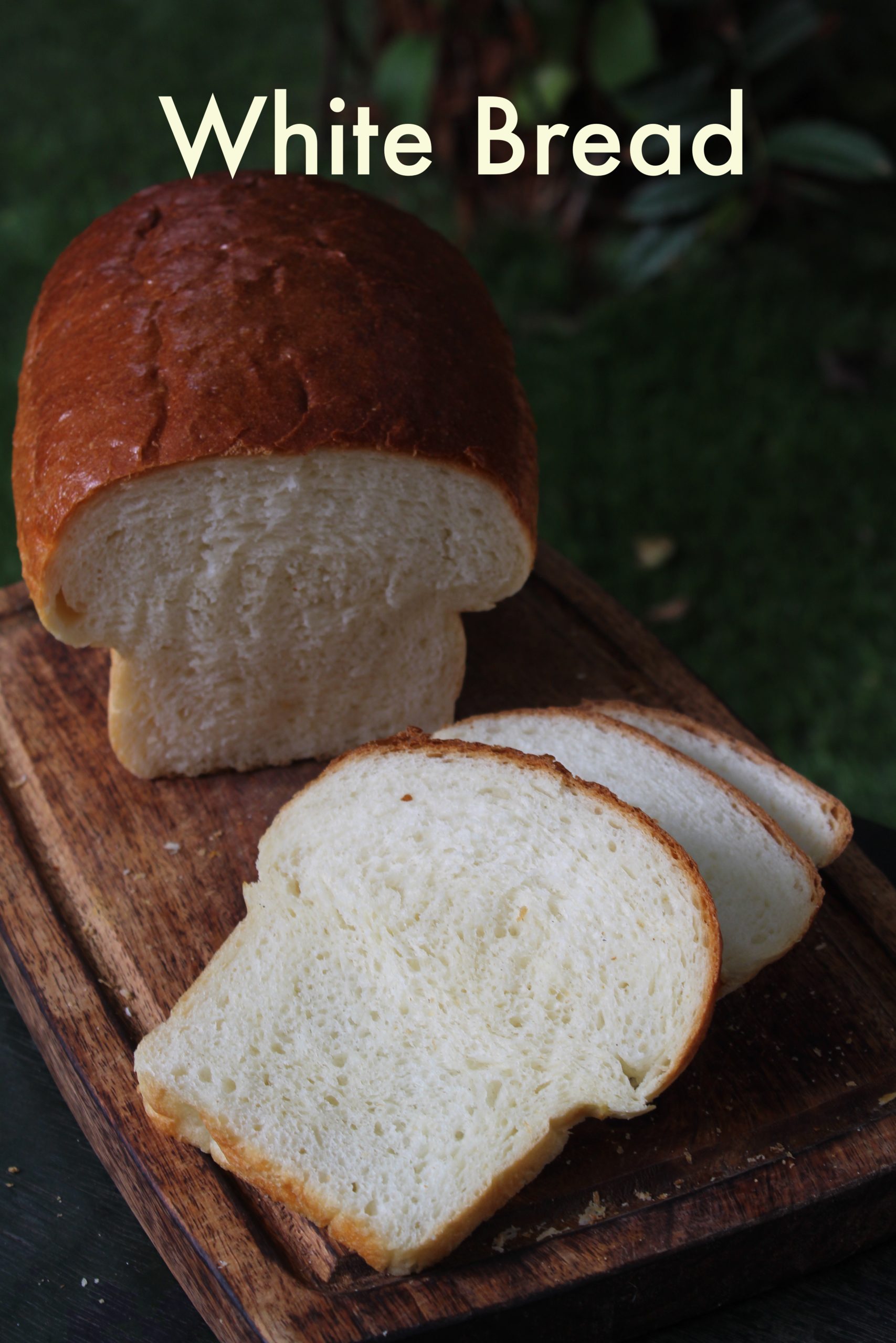 Bread Recipe   White Bread Recipe - 50